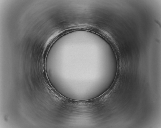 X0000103141172200808221057