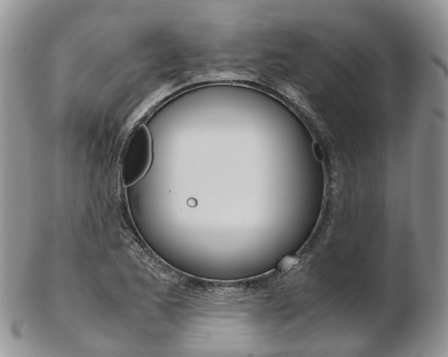 X0000103141173200808221057