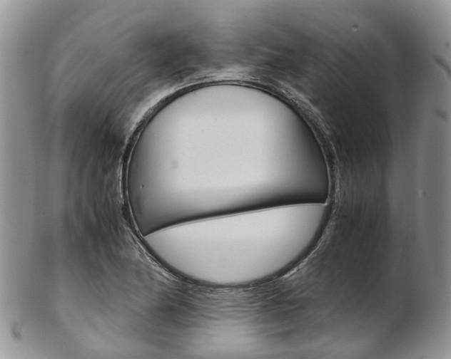 X0000103141174200808221057