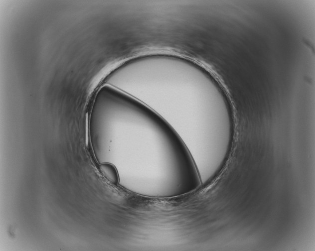 X0000103141175200808221057