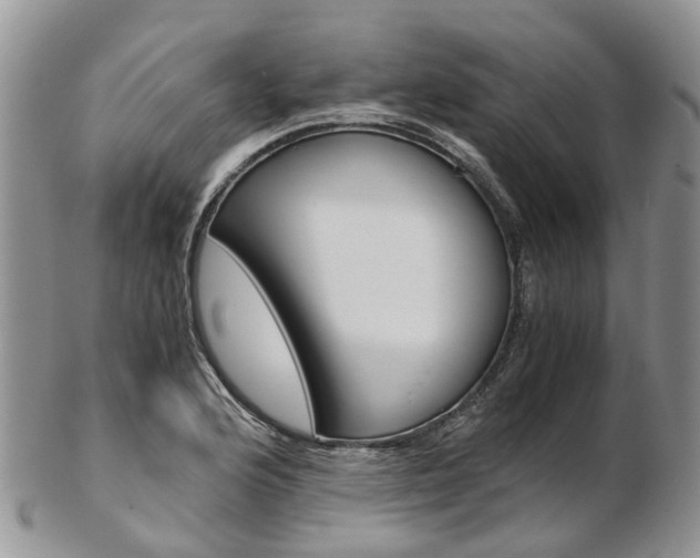 X0000103141176200808221057