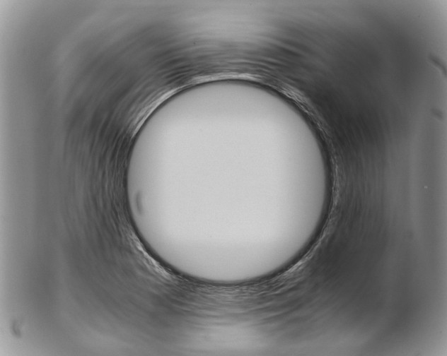X0000103141177200808221057
