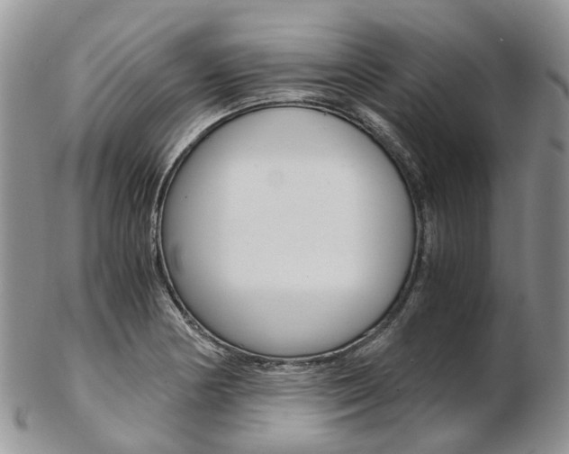 X0000103141178200808221057