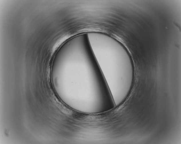 X0000103141179200808221057