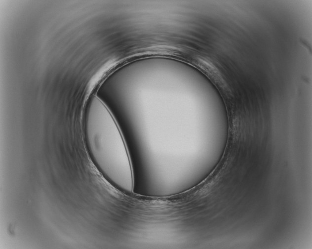 X0000103141180200808221057