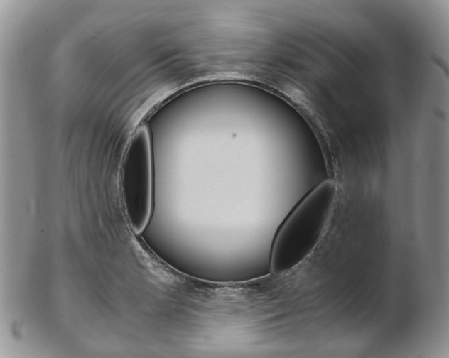 X0000103141181200808221057