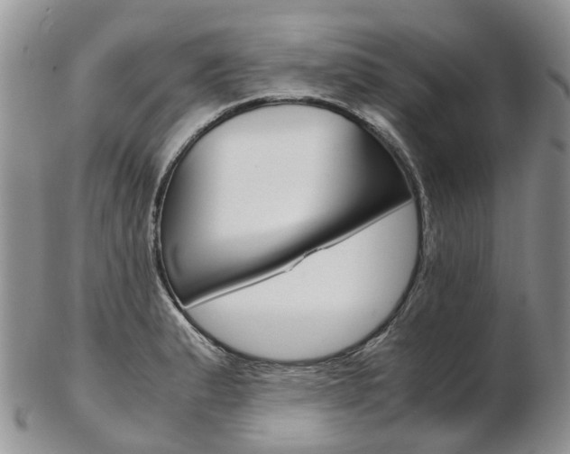 X0000103141183200808221057