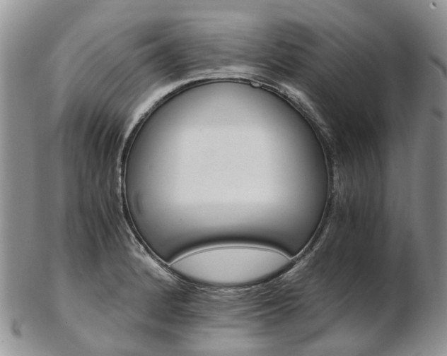 X0000103141184200808221057