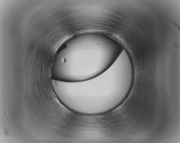 X0000103141185200808221057