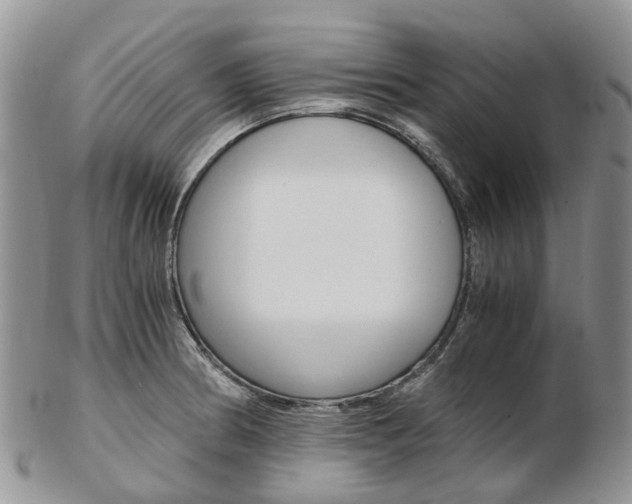 X0000103141186200808221057