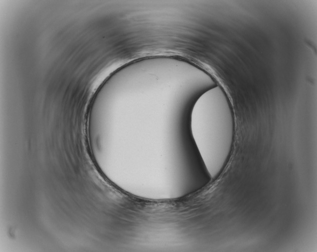 X0000103141187200808221057