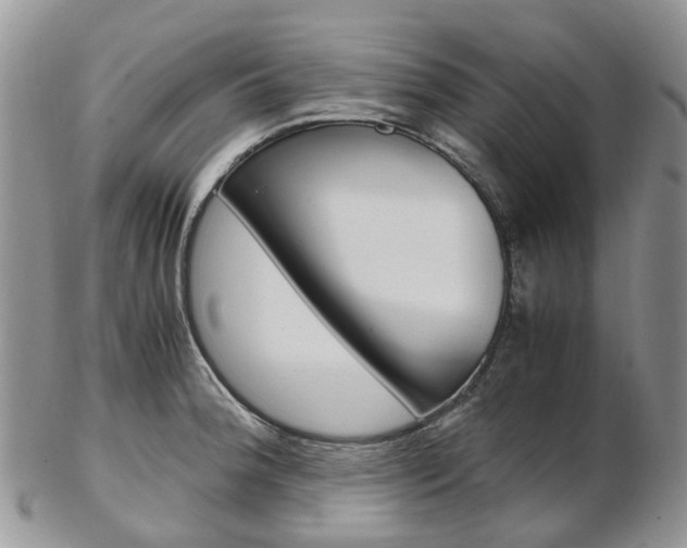X0000103141188200808221057