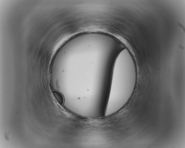 X0000103141191200808221057