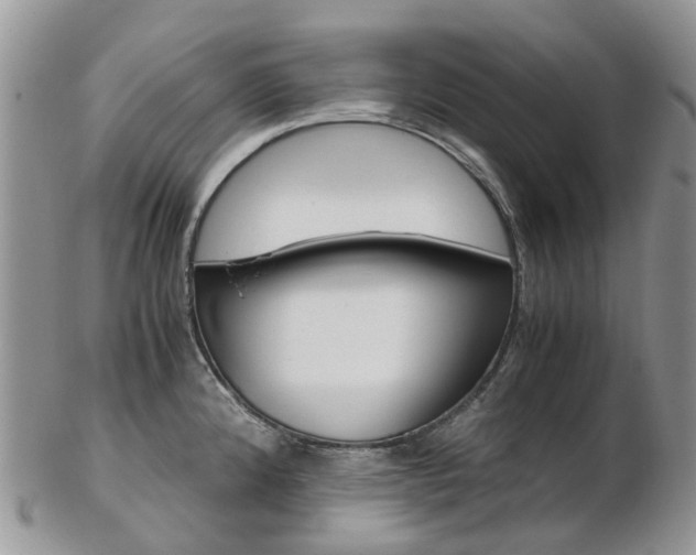 X0000103141192200808221057