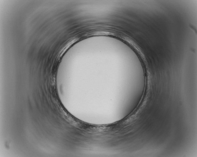 X0000103141193200808221057