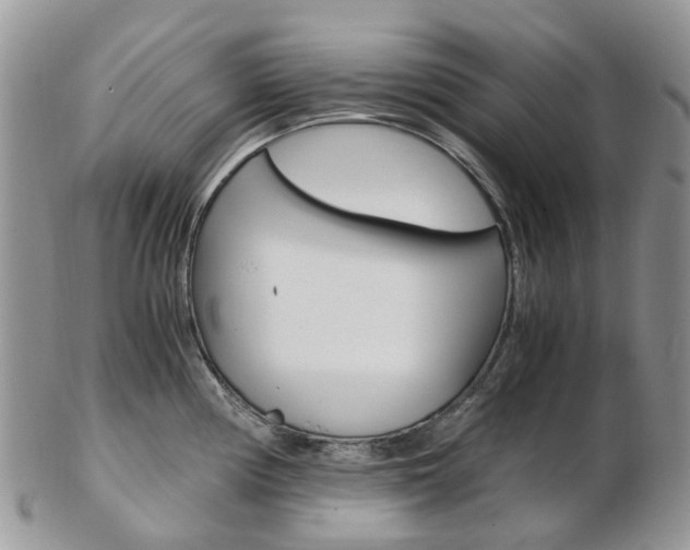 X0000103141194200808221057