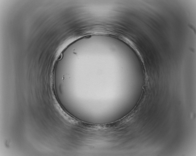 X0000103141195200808221057