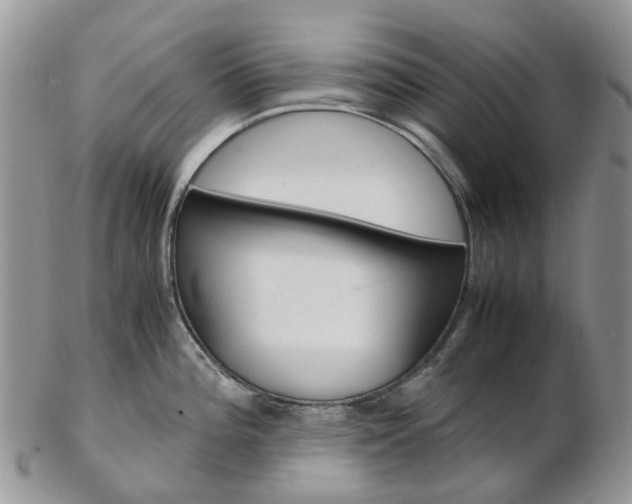 X0000103141196200808221057