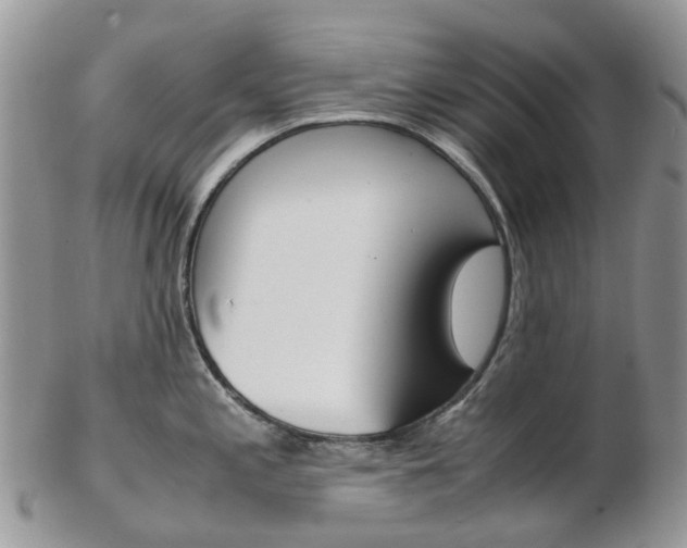 X0000103141197200808221057