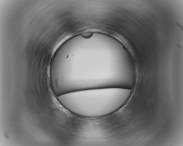 X0000103141198200808221057