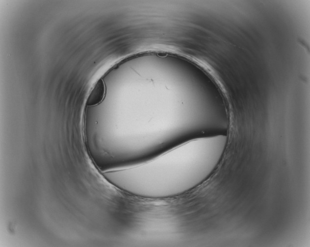X0000103141199200808221057