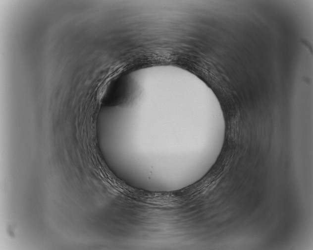 X0000103141201200808221056