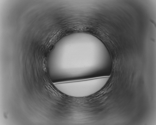 X0000103141202200808221056