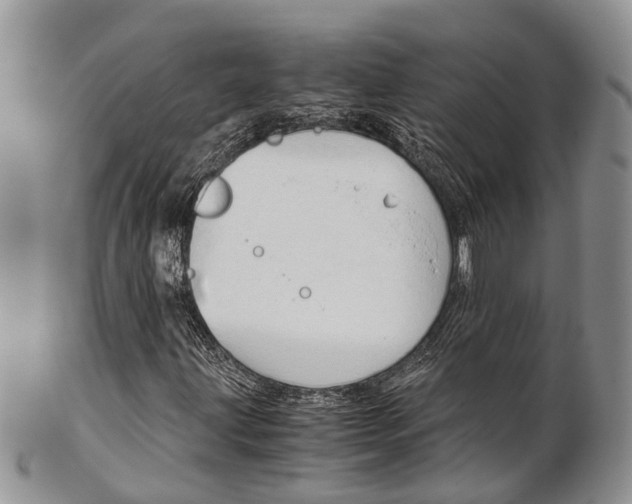 X0000103141203200808221056