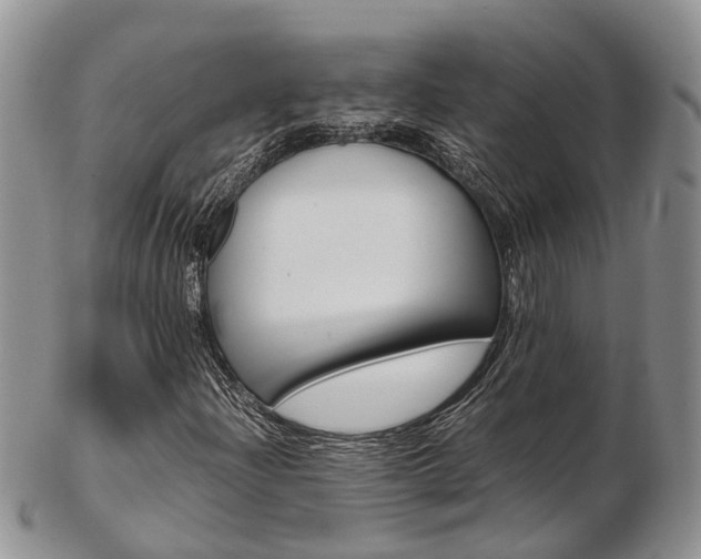 X0000103141204200808221056