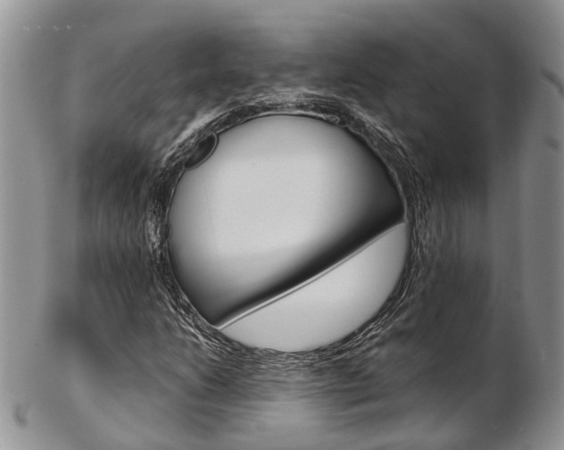 X0000103141206200808221056