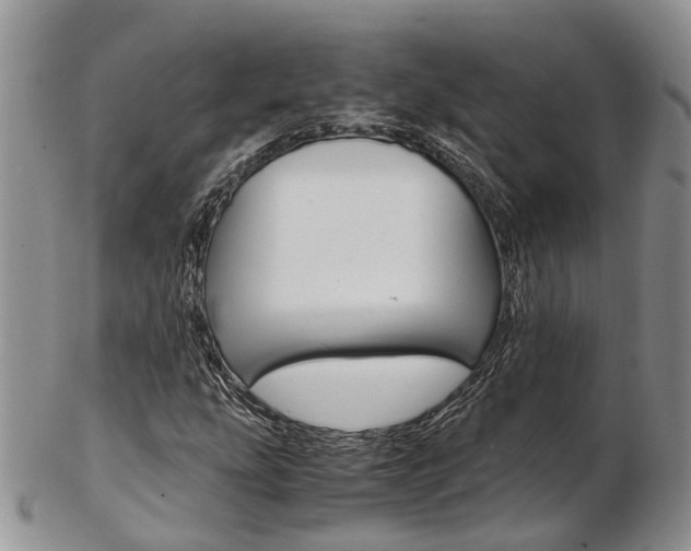 X0000103141207200808221056