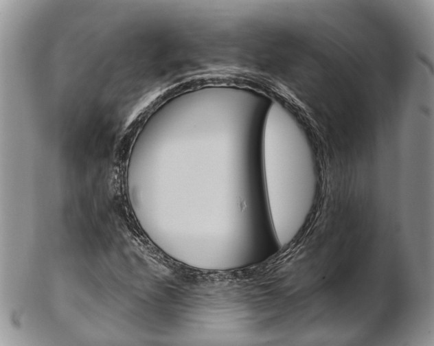 X0000103141208200808221056