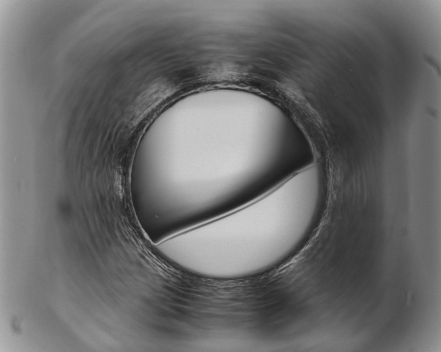 X0000103141209200808221056