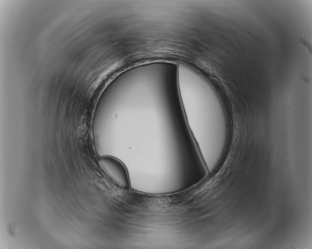 X0000103141210200808221056