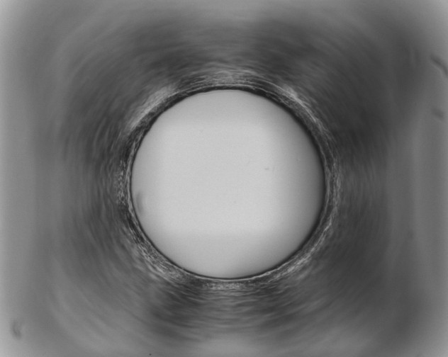 X0000103141211200808221056