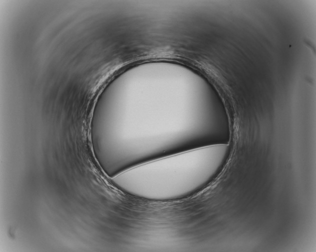 X0000103141212200808221056