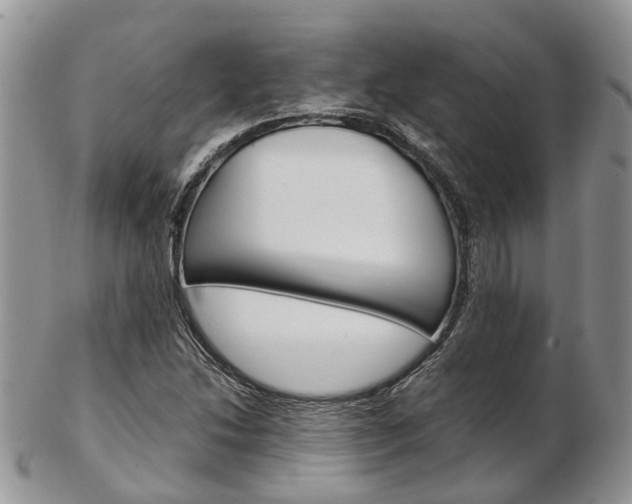 X0000103141214200808221056