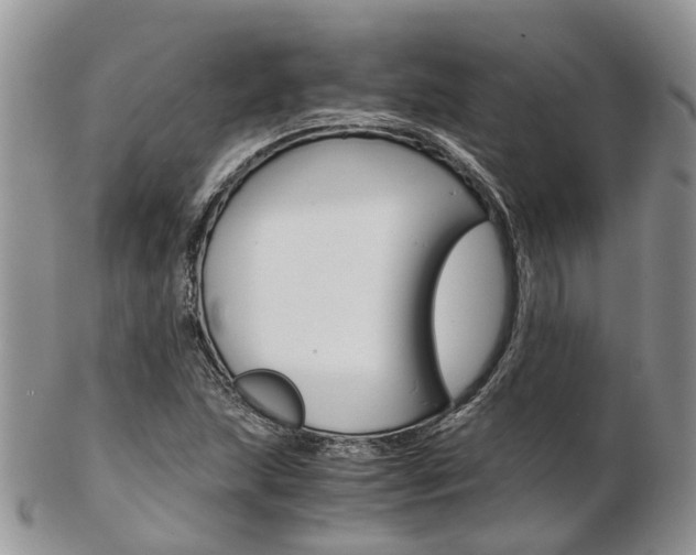 X0000103141215200808221056