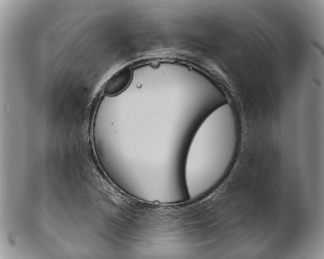 X0000103141216200808221057
