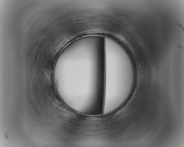 X0000103141217200808221057