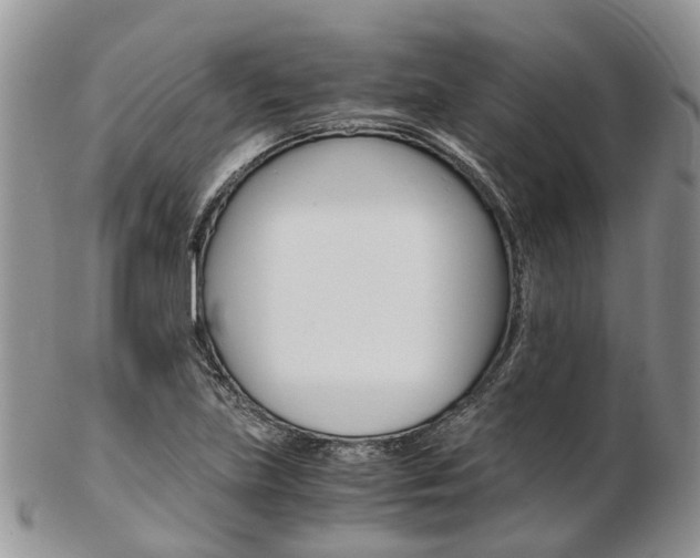 X0000103141219200808221057
