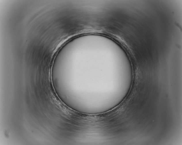 X0000103141220200808221057