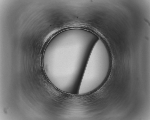 X0000103141222200808221057