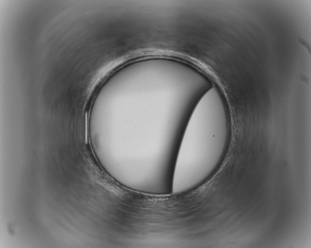 X0000103141223200808221057