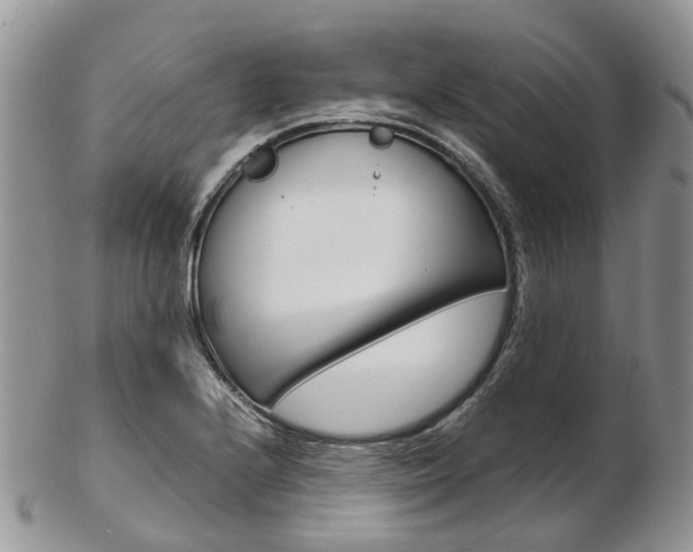 X0000103141224200808221057