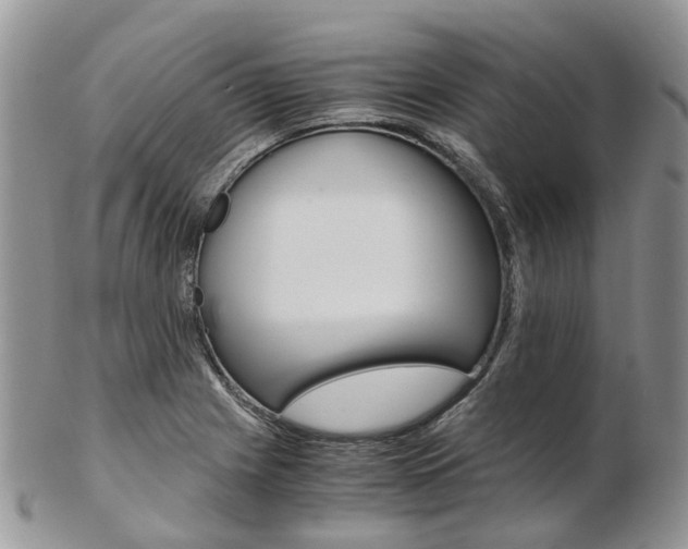 X0000103141225200808221057