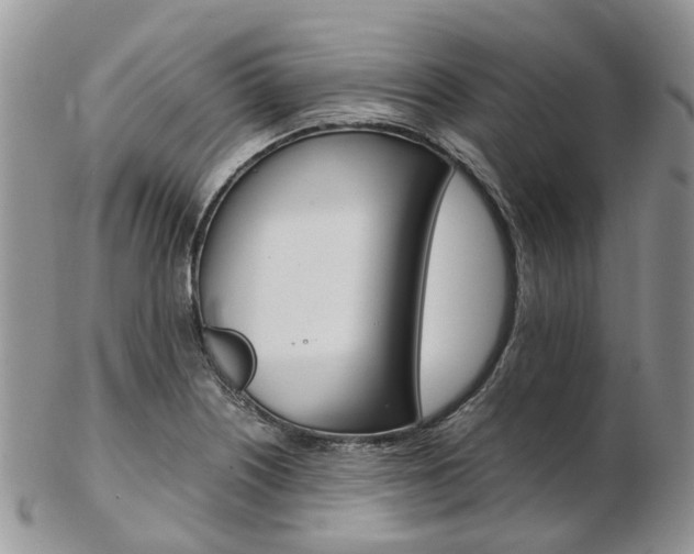 X0000103141226200808221057