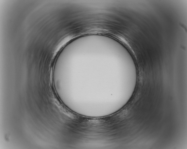 X0000103141227200808221057