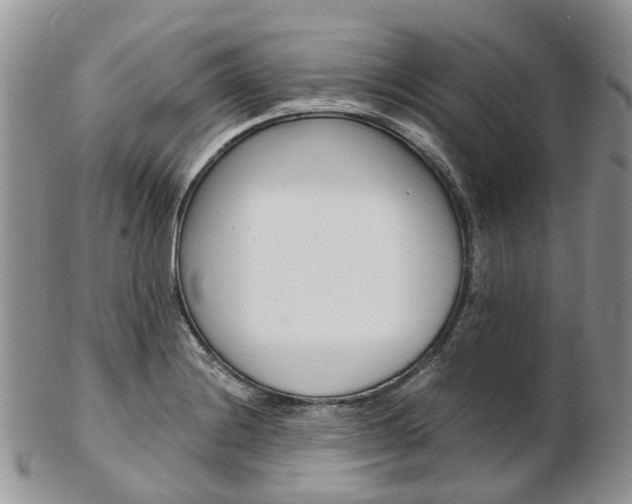 X0000103141228200808221057