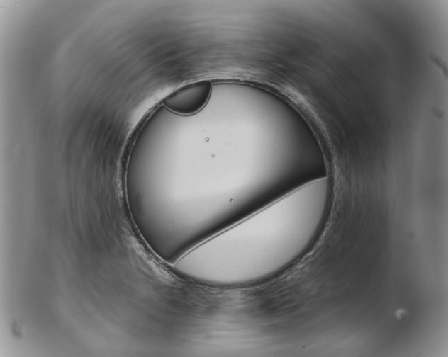 X0000103141230200808221057